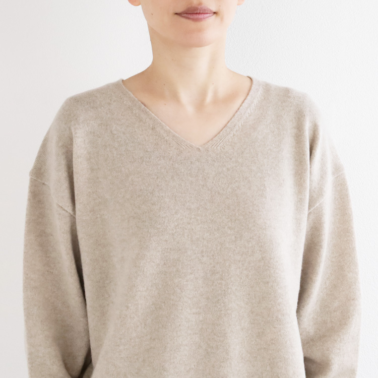 すっきりとした印象のVネック
