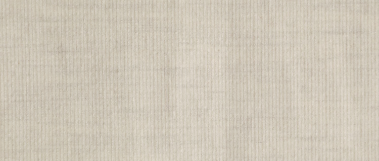 オフ生地アップ